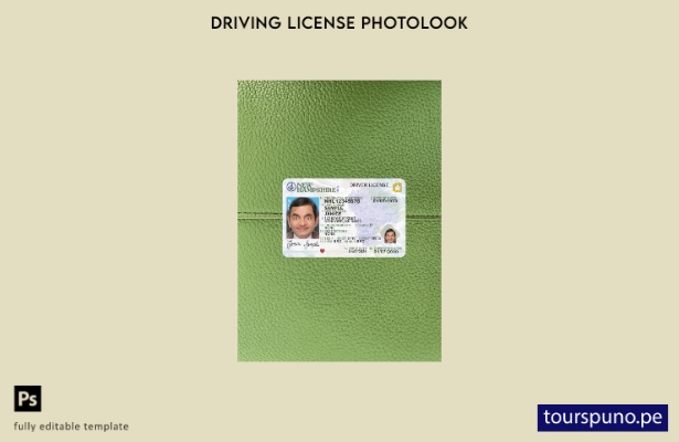 listo para imprimir licencia de conducir de EE. UU. New Hampshire presente plant